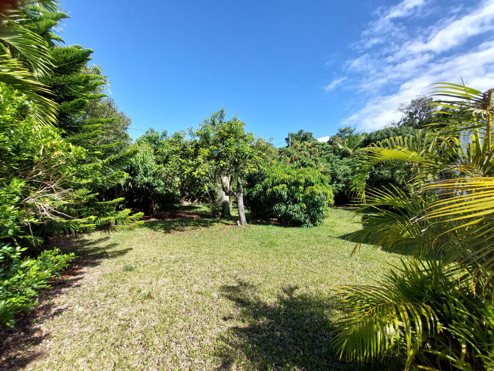 Vente Maison Zone résidentielle villa F6/7 à rénover sur 1600 € m2 de terrain St denis