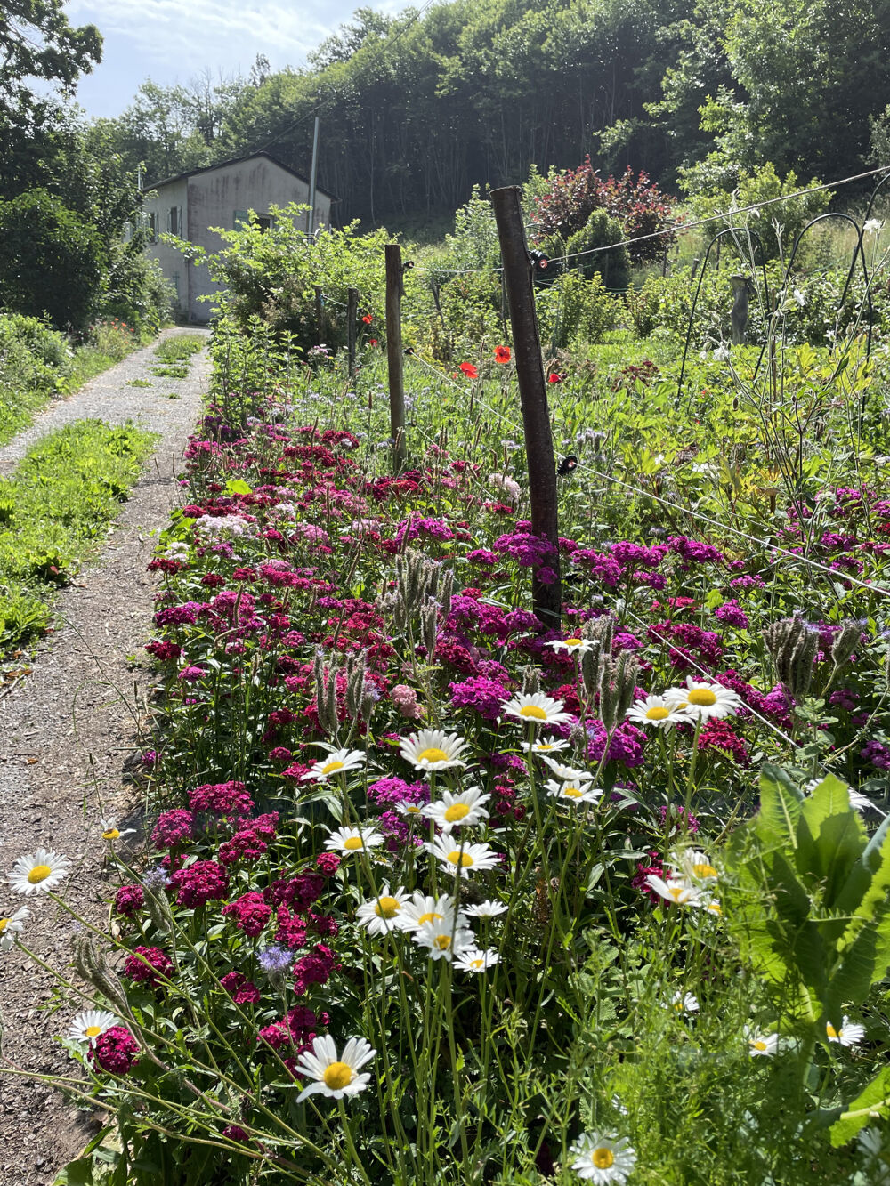 Propriété rénovée avec 2 hectares attenants en Sud-Aveyron