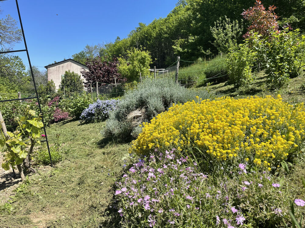 Propriété rénovée avec 2 hectares attenants en Sud-Aveyron