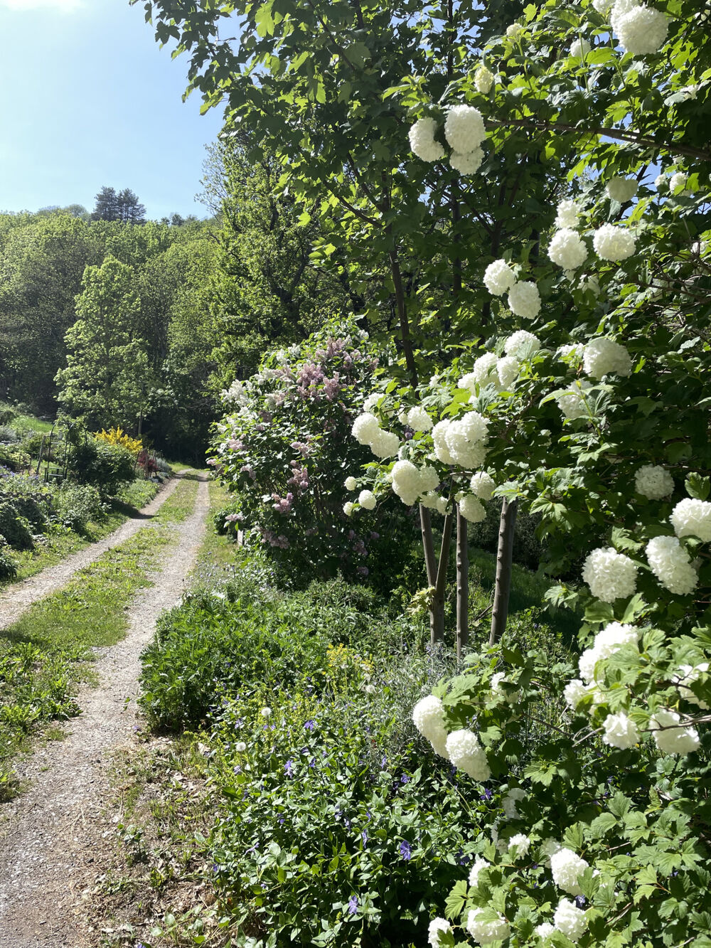 Propriété rénovée avec 2 hectares attenants en Sud-Aveyron