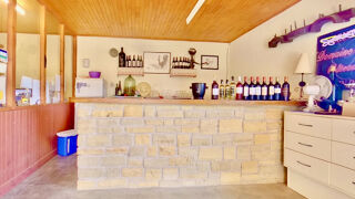  Maison � vendre 15 + pi�ces 250 m�