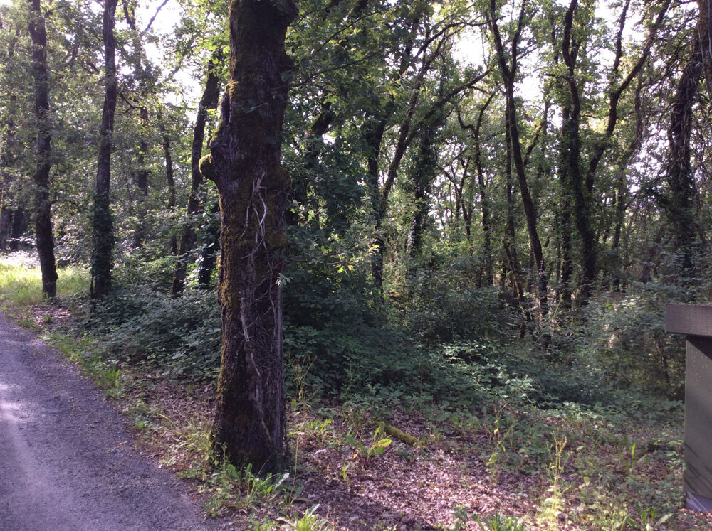 Vente Terrain terrain constructible 1418m2 Nespouls