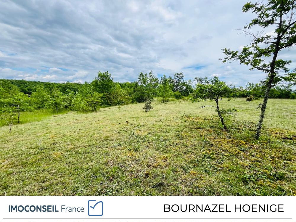 Vente Terrain Terrain constructible 3123 m2 Chavagnac