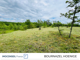 Vente Terrain Terrain constructible 3123 m2 Chavagnac
