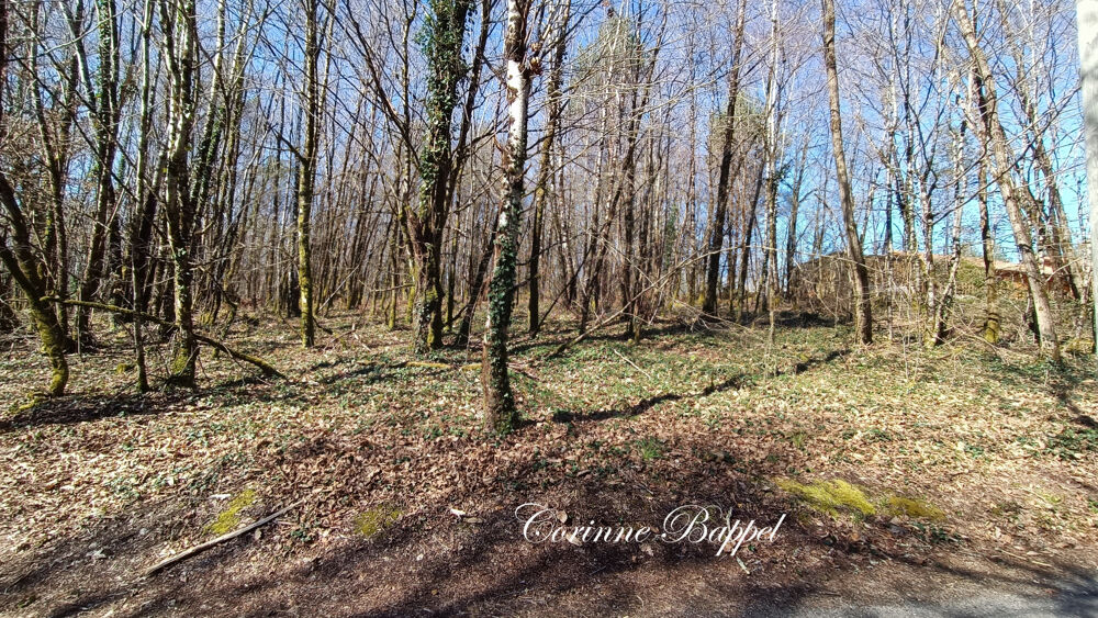 Vente Terrain Terrain constructible. Sarliac sur l isle