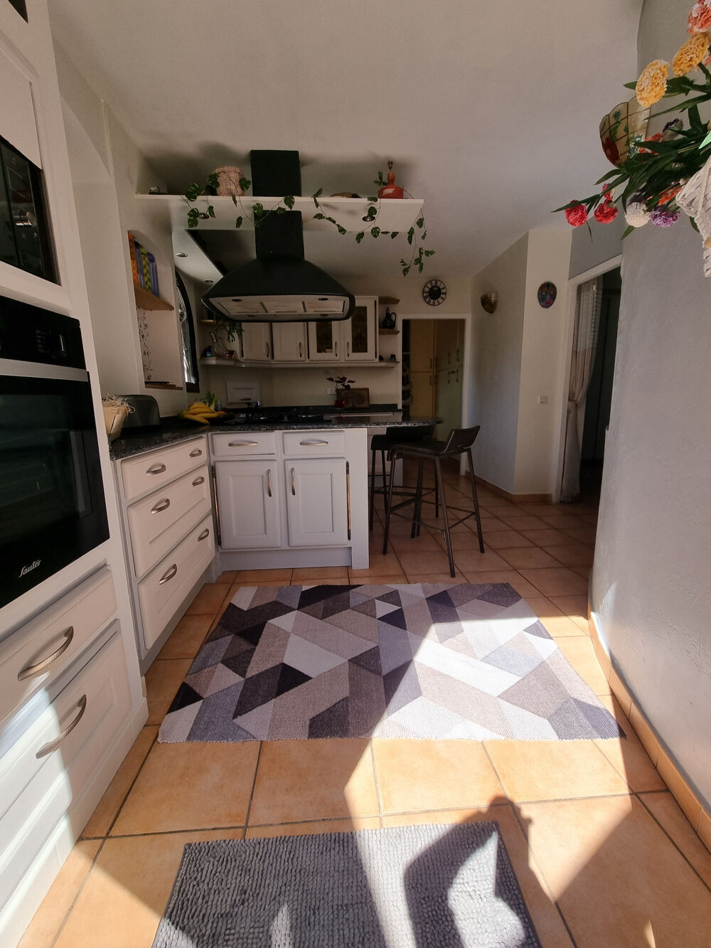 � vendre  Propri�t�/ch�teau Sor�de (66690)