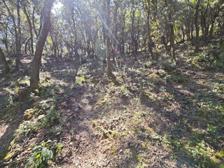  Terrain � vendre 4159 m�