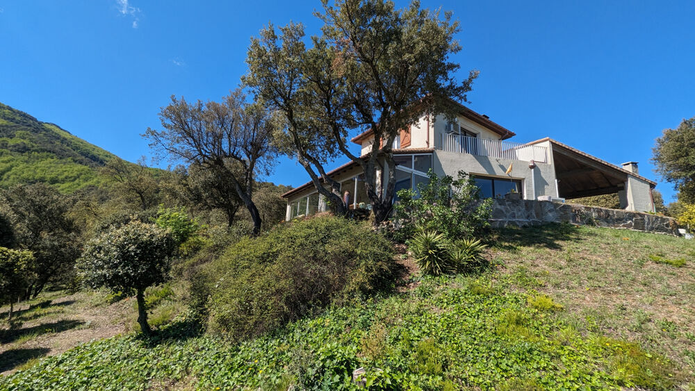  vendre  Proprit/chteau Laroque-des-Albres (66740)