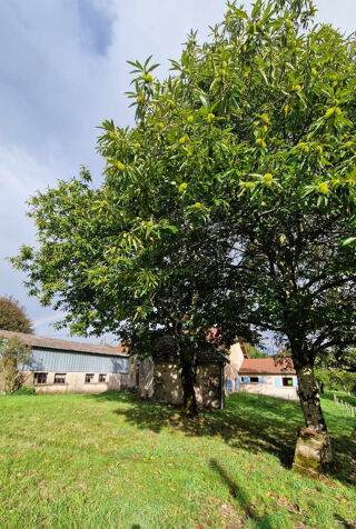  Ferme  vendre 7 pices 135 m
