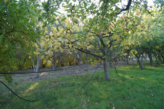  Terrain � vendre 5359 m�