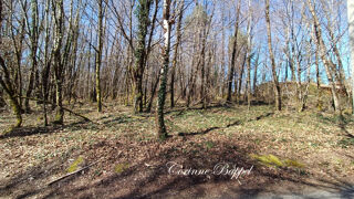  Terrain � vendre 1996 m� Sarliac sur l isle