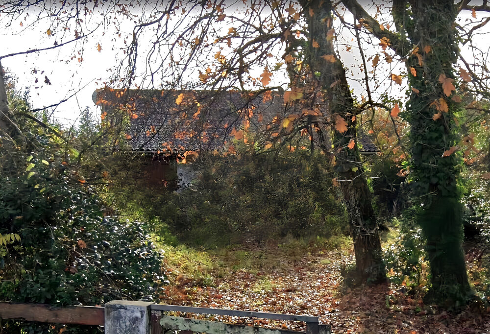 Vente Maison À SAISIR   MAISON À RÉNOVER SUR BEAU TERRAIN BOISÉ proche du coeur de La Teste de Buch La teste de buch