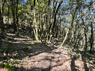  Terrain � vendre 4159 m�