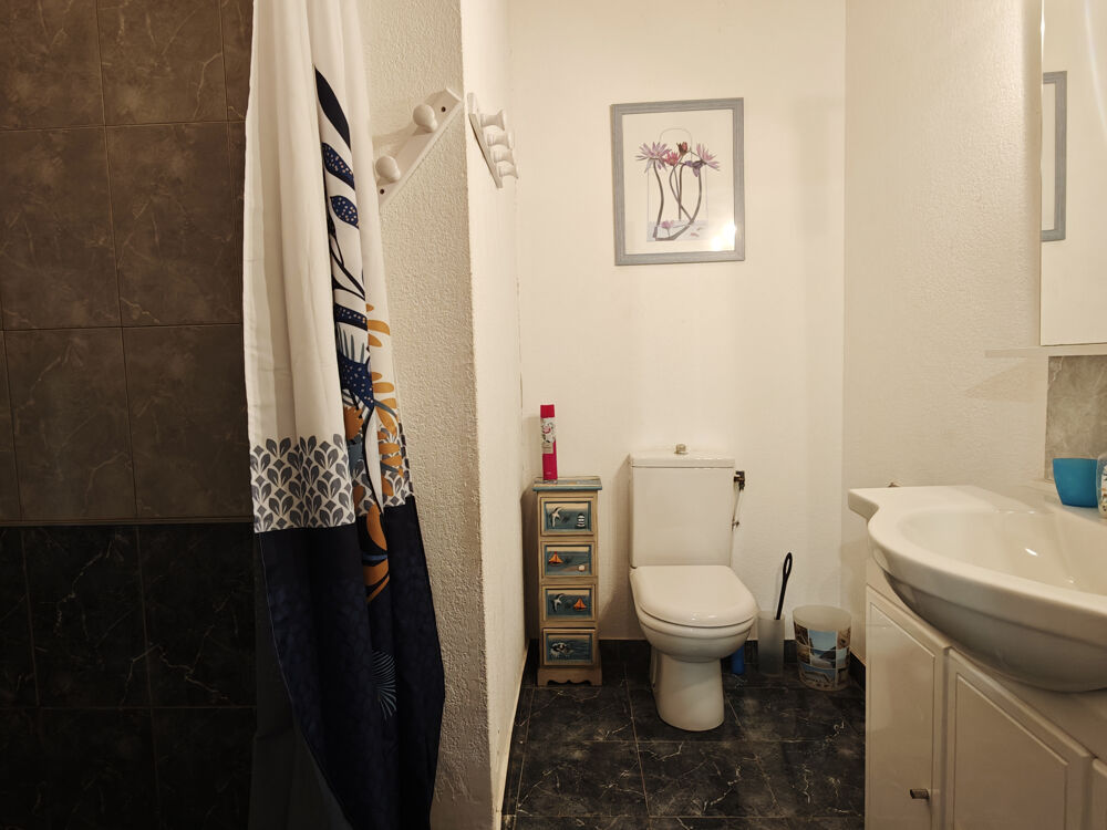 � vendre  Propri�t�/ch�teau Ortaffa (66560)