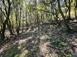  Terrain � vendre 4159 m�