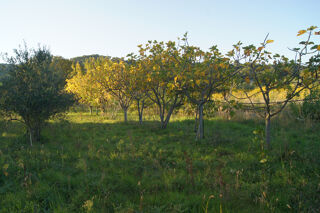  Terrain � vendre 5359 m�