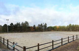  Propri�t�/ch�teau � vendre 15 + pi�ces 250 m�