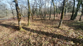  Terrain � vendre 3143 m�