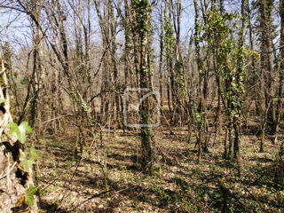  Terrain  vendre 1615 m