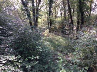  Terrain à vendre 1418 m²