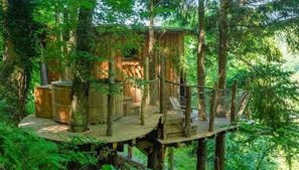 Vente Propriété/Château gites insolites dans les arbres Sarlat la caneda
