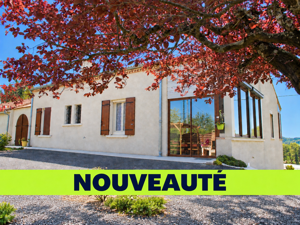 Vente Maison LE RAYET - MAISON AVEC PISCINE, GRANDE DÉPENDANCE ET NOMBREUX ESPACES ANNEXES Rayet
