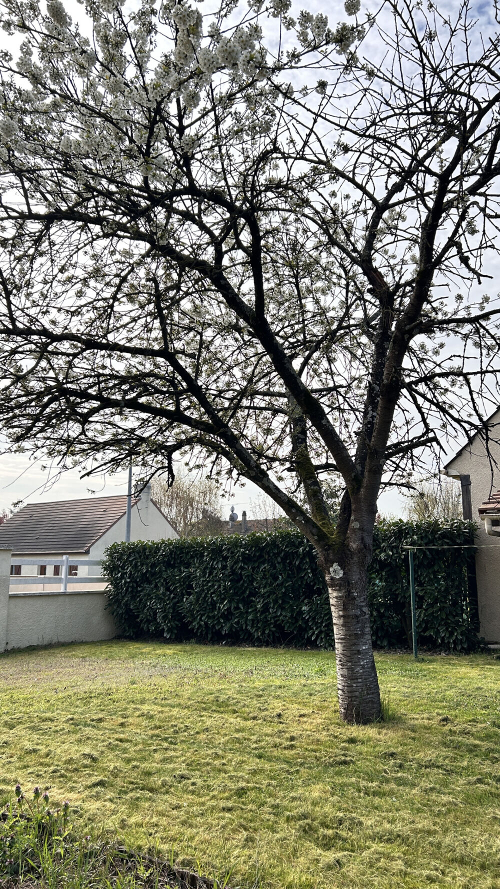 Vente Maison MEAUX 77100-MAISON INDIVIDUELLE-IDEAL FAMILLE Meaux