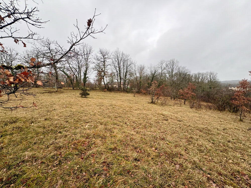 Vente Terrain Terrain constructible 3123 m2 Chavagnac