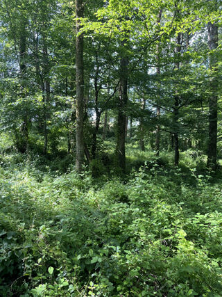  Terrain � vendre 12860 m�