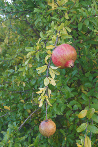  Terrain � vendre 5359 m�