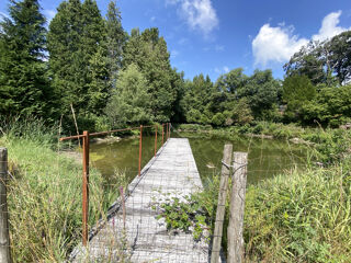  Propri�t�/ch�teau � vendre 11 pi�ces 250 m�