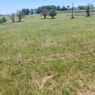  Terrain � vendre 7350 m�