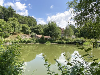  Propri�t�/ch�teau � vendre 11 pi�ces 250 m�