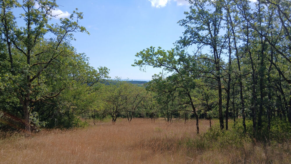 Vente Terrain Terrain avec permis de construire   Vue exceptionnelle sur les Monts du Cantal Cuzance