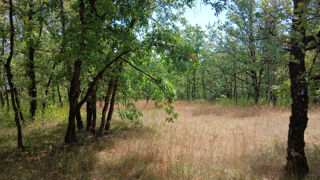  Terrain à vendre 3024 m²