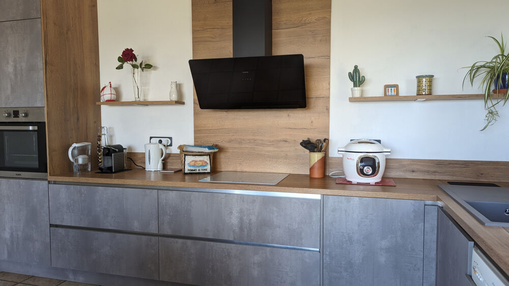  vendre  Proprit/chteau Laroque-des-Albres (66740)