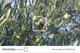  Terrain � vendre 5359 m�