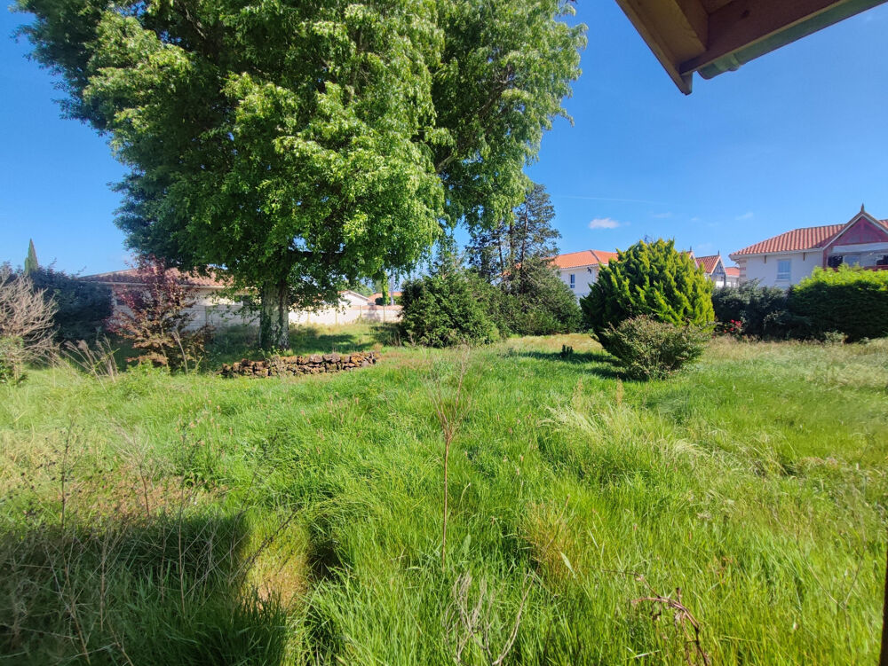 Vente Terrain BEAU TERRAIN AVEC DEPENDANCE Biscarrosse
