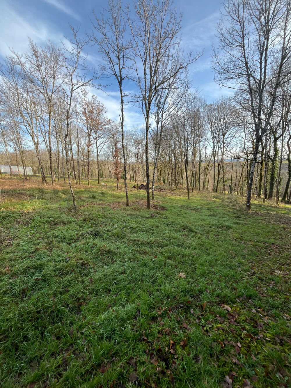 Vente Terrain Terrain constructible - Saint Bonnet La Rivière St bonnet la riviere