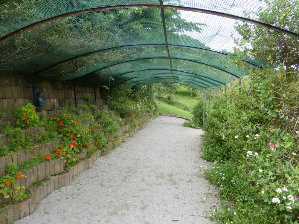  vendre  Maison Laval-de-Cre (46130)