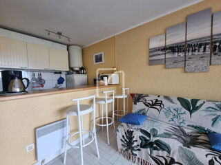  Appartement St Cyprien Plage (66750)