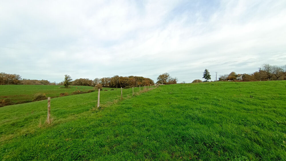 FERME 10 HECTARES AVEC MAISON ET DEPENDANCES POUR PROJET AGRICOLE EQUESTRE PENSION CHEVAUX OU ARTISAN