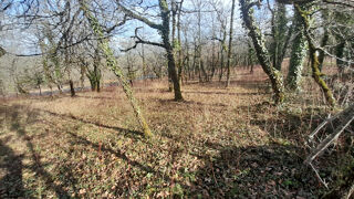  Terrain � vendre 3143 m�