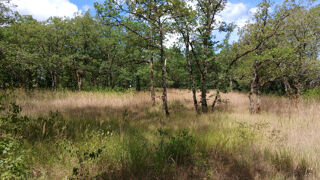  Terrain à vendre 3024 m²