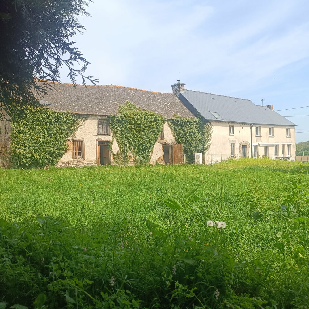 Ensemble immobilier : Longère, Maison à rénover, hangar Agricole Campagne MAURON