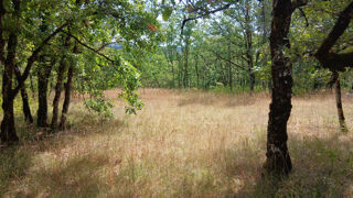  Terrain à vendre 3024 m²