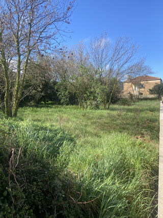  Terrain à vendre 5 pièces 550 m²