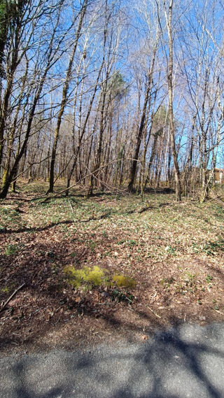  Terrain  vendre 4123 m