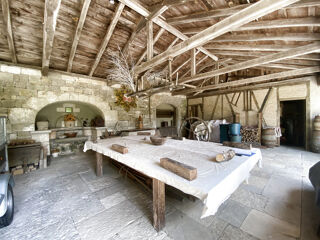  Propriété/château à vendre 12 pièces 250 m²