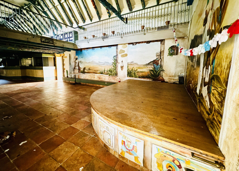 � vendre  Propri�t�/ch�teau Montignac (24290)